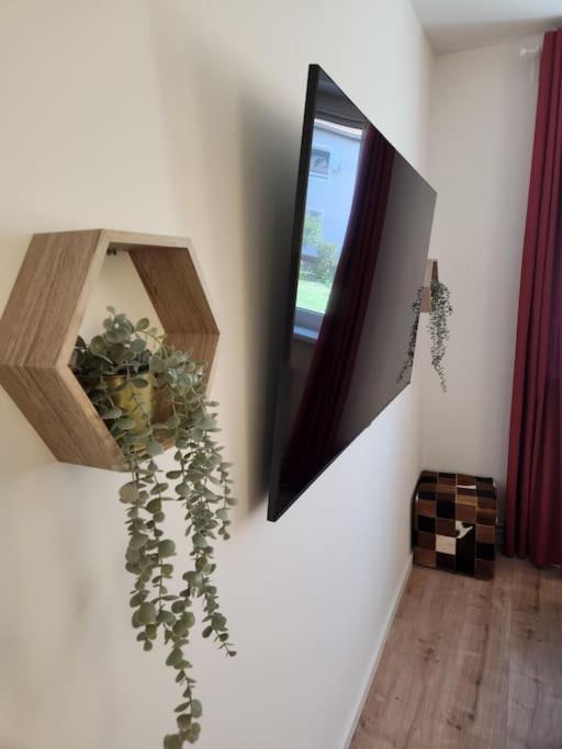 Baltic Garden Suite Dziwnów Εξωτερικό φωτογραφία